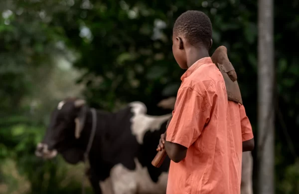 Sustainability Projects