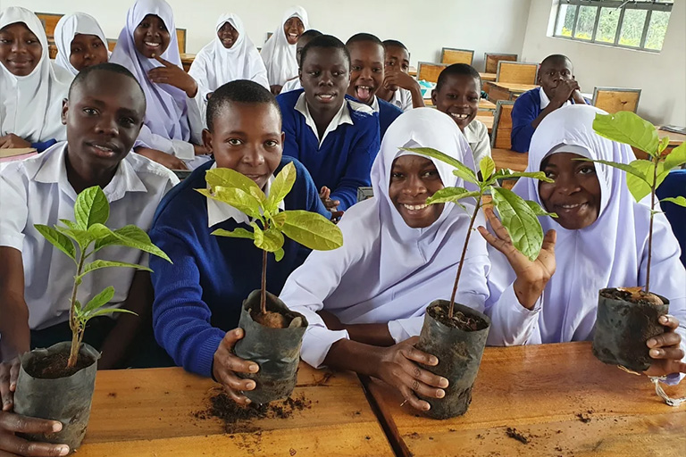 supporting-local-reforestation-effor-ar-generative-ai-768x512