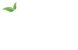 Forest Focus Logo
