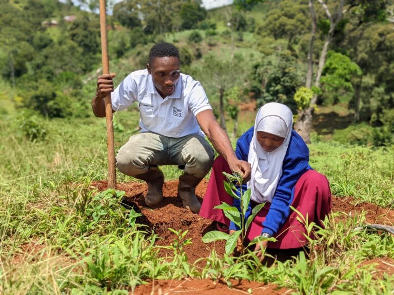 Child being thought how to plant tree