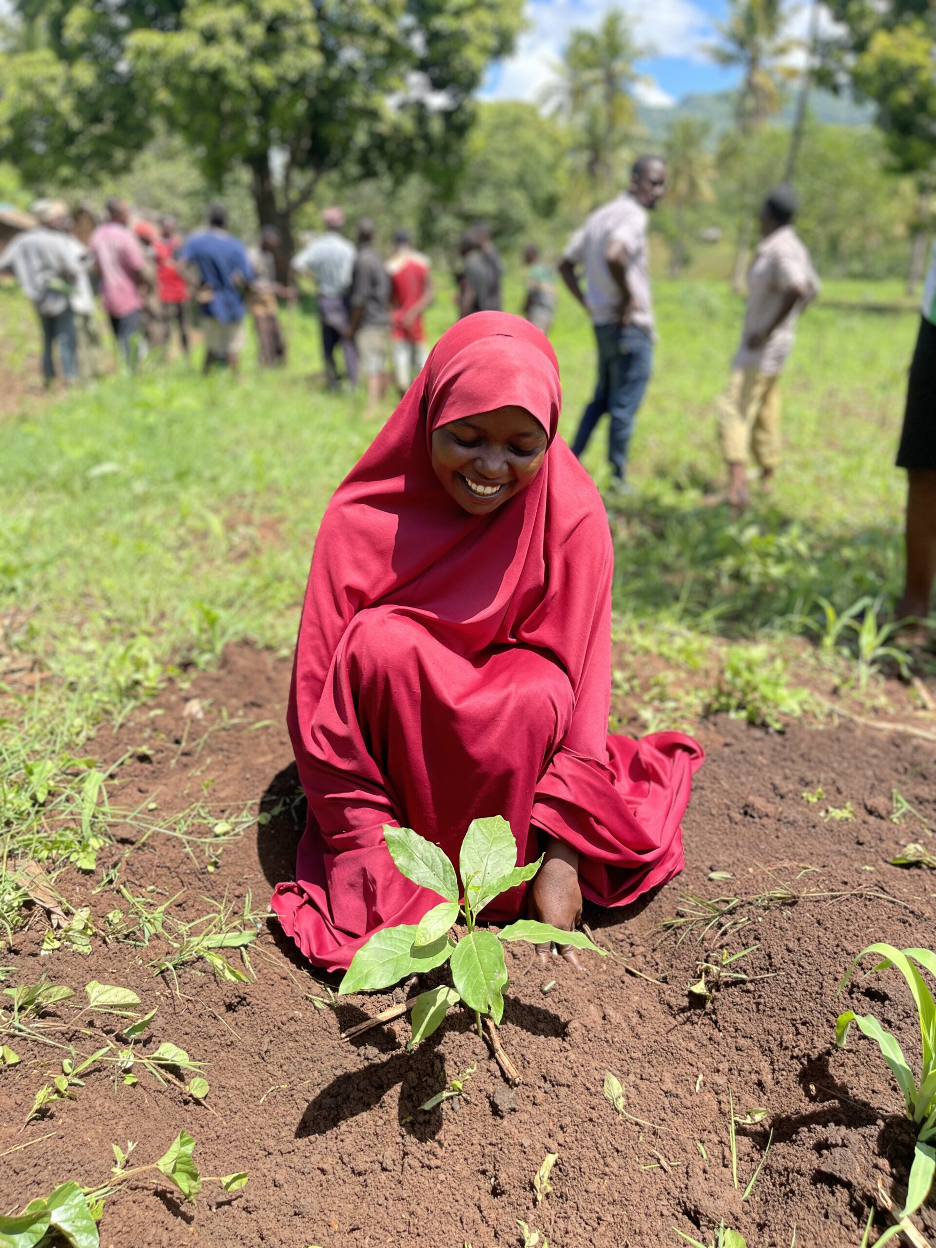 field work tanga region planting trees