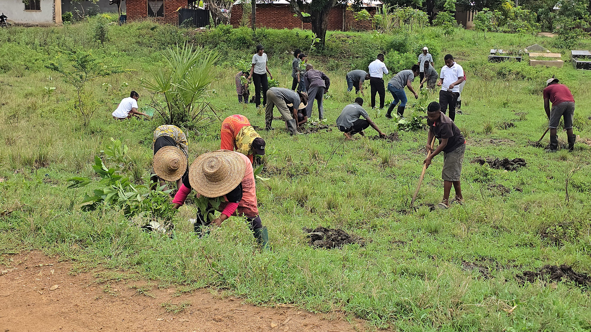 People planting trees