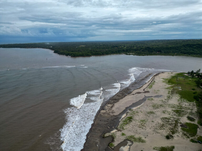 Part of the river to which Mangrove Restoration Mission is going on