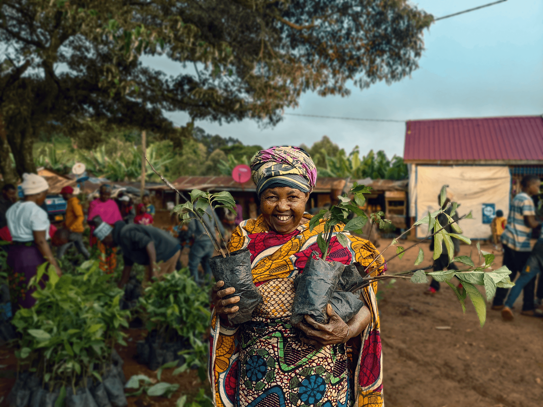 An old woman holding trees