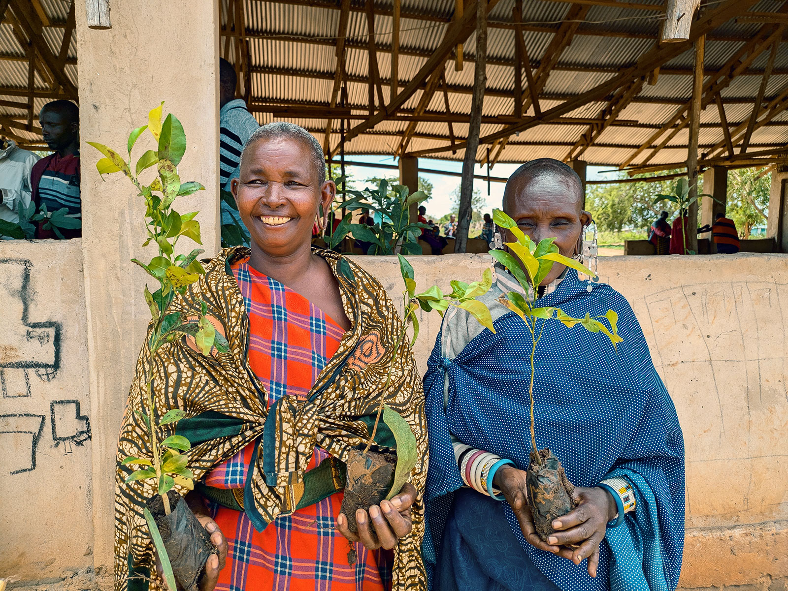 Masai holding trees