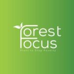 Forest Focus